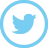 Twitter icon