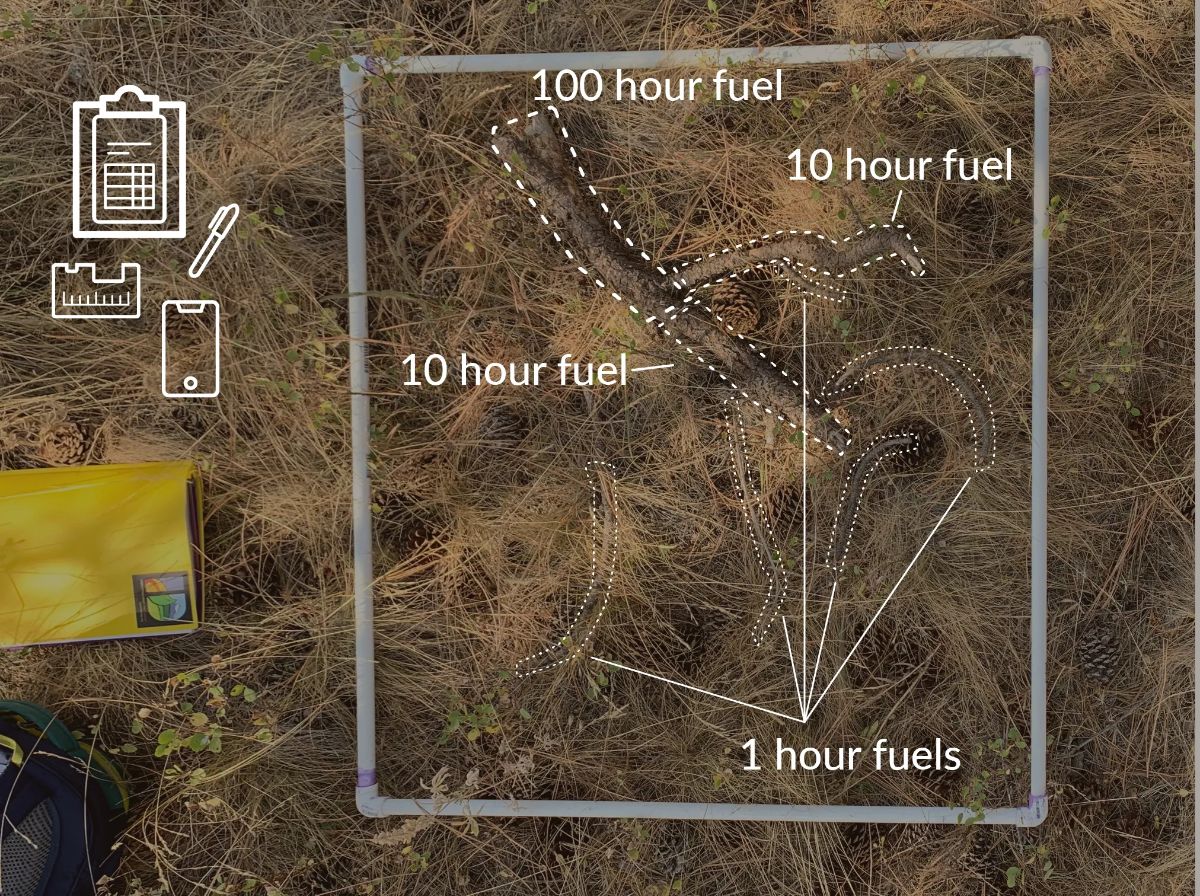 A photo of sticks and grass in a forest, marked up to indicate the amount of time each stick would burn for.