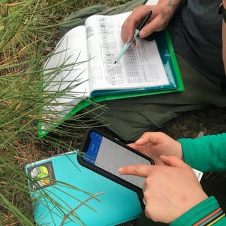 A photograph of two sets of hands. One is entering data into a document with a dry erase marker, and the other is pointing to something on an app on their phone.